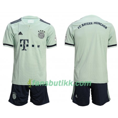 Fotballdrakt FC Bayern München Barn Bortetrøye 2018-2019 Kortermet